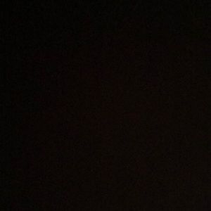 Meet your Posher, Ginger